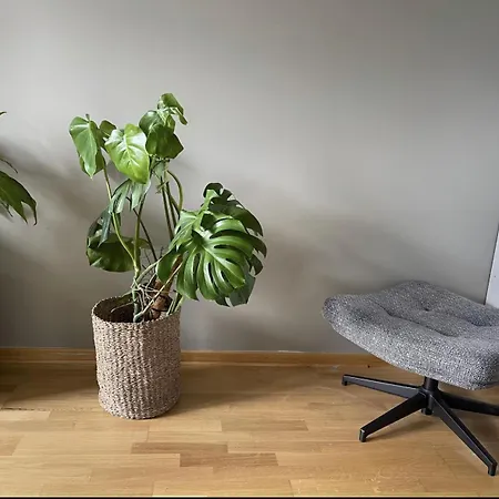 Skogen House 3* Oslo